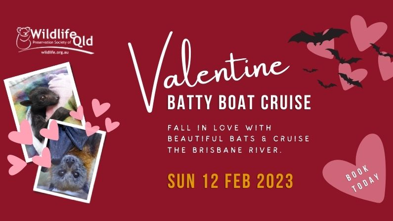 Batty Boat Valentine's Cruise February 2023